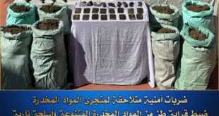 ضبط مخدرات وأسلحة